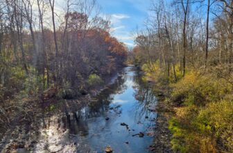 The Little Issues Publication #497 – Life, l...